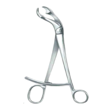 Кісткотримач вербрюгге, 26 см/10,25 дюймів ob755.02